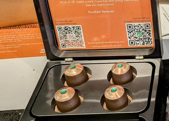 Bucharest Old Town Luxury Apartments - Euroeastventures 公寓